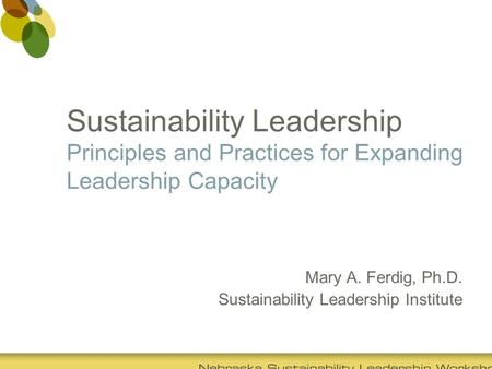 Sustainability Leadership Principles and Practices for Expanding Leadership Capacity Mary A. Ferdig, Ph.D. Sustainability Leadership Institute.