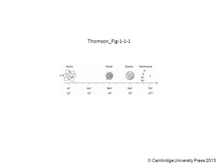 © Cambridge University Press 2013 Thomson_Fig-1-1-1.