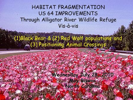 HABITAT FRAGMENTATION US 64 IMPROVEMENTS Through Alligator River Wildlife Refuge Vis-à-vis (1)Black Bear & (2) Red Wolf populations and (3) Positioning.