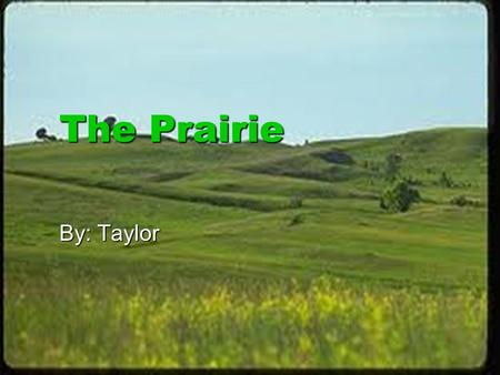 The Prairie By: Taylor.