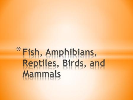 * Fish- use gills for oxygen intake * Pharyngeal pouches turn into gills and jaws * Fish have a 2 chambered heart in a closed circulatory system * 1 chamber.