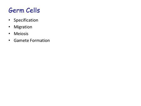 Germ Cells Specification Migration Meiosis Gamete Formation.