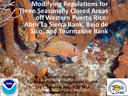 Public Hearing Caribbean Fishery Management Council 153 rd Meeting August 20 2015 Mayagüez Puerto Rico Modifying Regulations for Three Seasonally Closed.