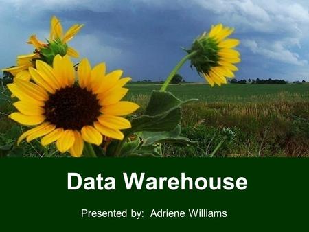 1 Data Warehouse Presented by: Adriene Williams. 22 Data Warehouse: Subject Areas SMART Subject Area Deployment Date Frequency FMS - AP - KS Vouchers.