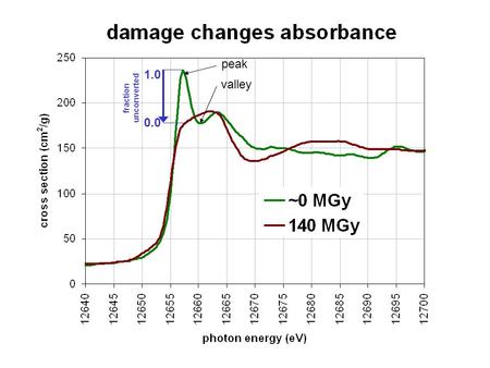 1.0 0.0 fraction unconverted peak valley. XANES probe for damage rate fluence (10 15 photons/mm 2 ) fraction unconverted 0.0 0.2 0.4 0.6 0.8 1.0 0 20.