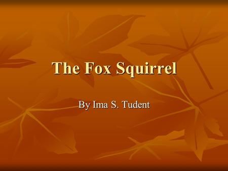 The Fox Squirrel By Ima S. Tudent. The Fox Squirrel’s Diet Nuts: Hickory nuts, mulberry nuts, acorns, walnuts and hawthorne seeds Nuts: Hickory nuts,