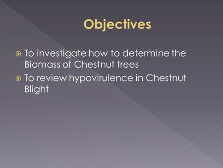  To investigate how to determine the Biomass of Chestnut trees  To review hypovirulence in Chestnut Blight.