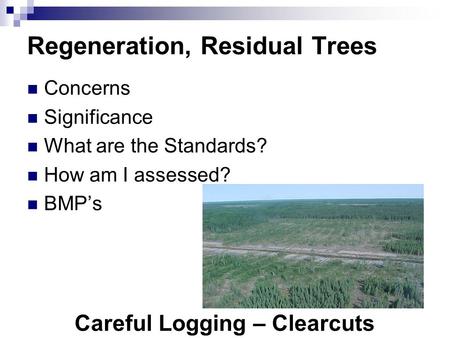 Careful Logging – Clearcuts Regeneration, Residual Trees Concerns Significance What are the Standards? How am I assessed? BMP’s.