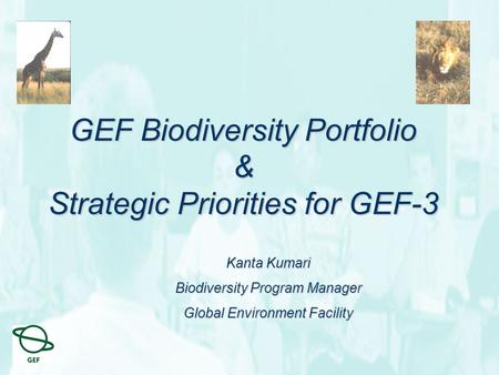 GEF Biodiversity Portfolio & Strategic Priorities for GEF-3 Kanta Kumari Biodiversity Program Manager Global Environment Facility.