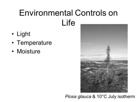 Environmental Controls on Life Light Temperature Moisture Picea glauca & 10°C July isotherm.