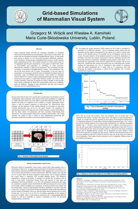 Grid-based Simulations of Mammalian Visual System Grzegorz M. Wójcik and Wiesław A. Kamiński Maria Curie-Sklodowska University, Lublin, Poland. Abstract.