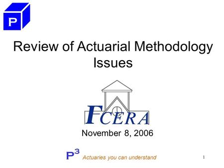 P 3 Actuaries you can understand 1 Review of Actuarial Methodology Issues November 8, 2006 P.