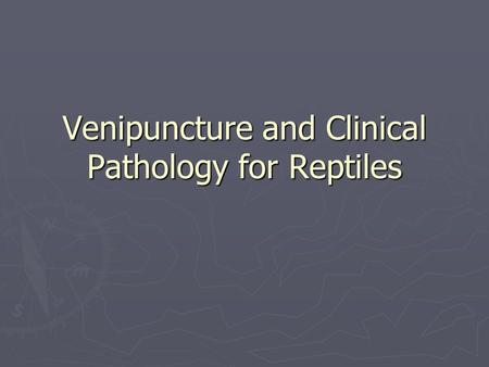 Venipuncture and Clinical Pathology for Reptiles.