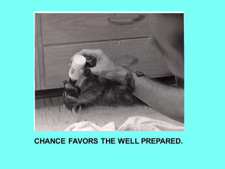 CHANCE FAVORS THE WELL PREPARED.. AS A RESULT OF STUDYING THE INTERACTION OF LIGHT WITH GASEOUS ATOMS, SCIENTISTS CAME UP WITH THE QUANTUM THEORY THAT.