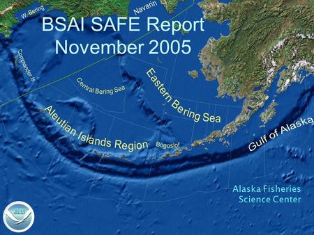 BSAI SAFE Report November 2005 Alaska Fisheries Science Center.