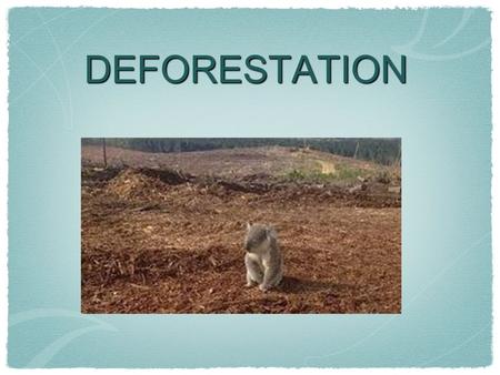 DEFORESTATION. What is deforestation? Deforestation refers to the cutting, clearing, and removal of rainforest or related ecosystems into less bio- diverse.