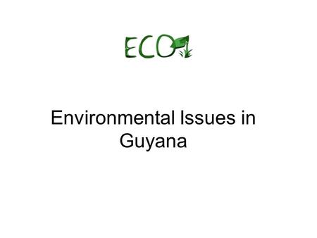 Environmental Issues in Guyana. Our environment The environment is what surrounds us, including our neighbourhoods, the countryside and our forests.