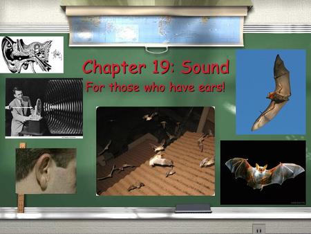 Chapter 19: Sound For those who have ears! 19.1 Properties of Sound.