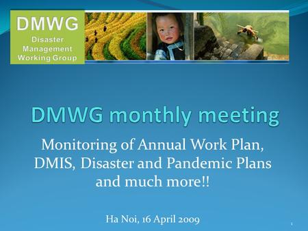 Monitoring of Annual Work Plan, DMIS, Disaster and Pandemic Plans and much more!! Ha Noi, 16 April 2009 1.