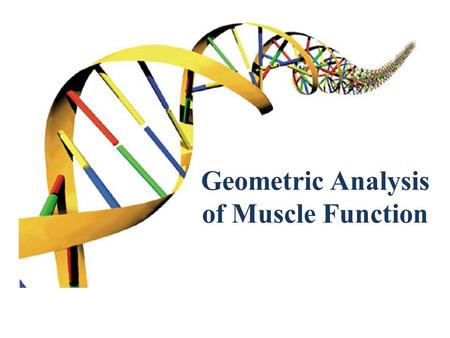 Geometric Analysis of Muscle Function  The universe is written in the language of mathematics ◦ Galileo Galilei, 1623  Quantitative analysis of natural.