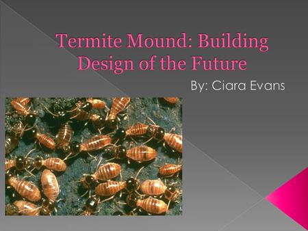  The building “East gate Centre” was designed to use passive cooling.  Passive cooling works by cooling in the day and venting at night.  It was biomimetically.