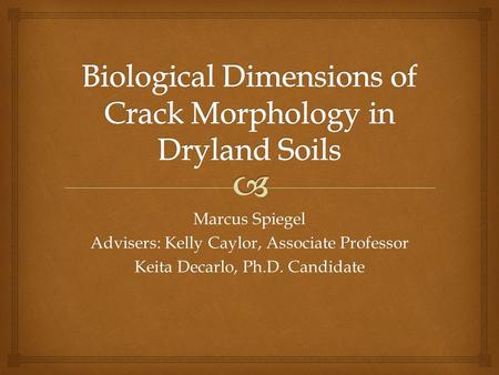 Biological Dimensions of Crack Morphology in Dryland Soils