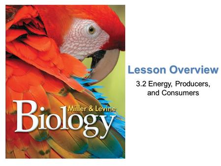 Lesson Overview Lesson Overview Energy, Producers, and Consumers Lesson Overview 3.2 Energy, Producers, and Consumers.