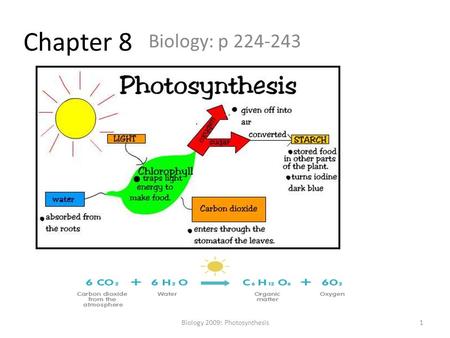 Biology 2009: Photosynthesis