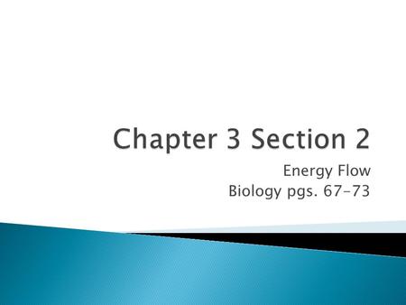 Energy Flow Biology pgs