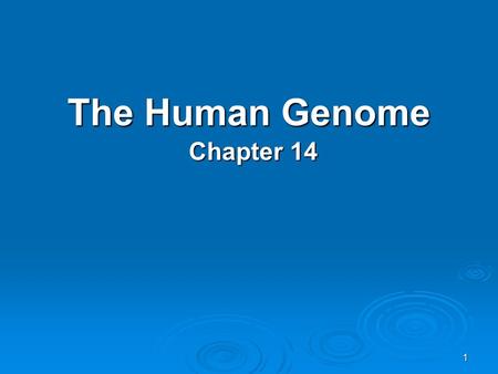 The Human Genome Chapter 14.