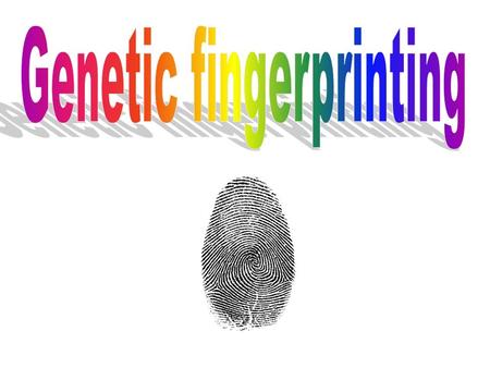 Every human chromosome carries specific genes in a specific order. Therefore, you might expect that we would get the same pattern of restriction fragments.