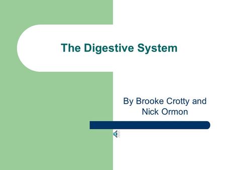 The Digestive System By Brooke Crotty and Nick Ormon.