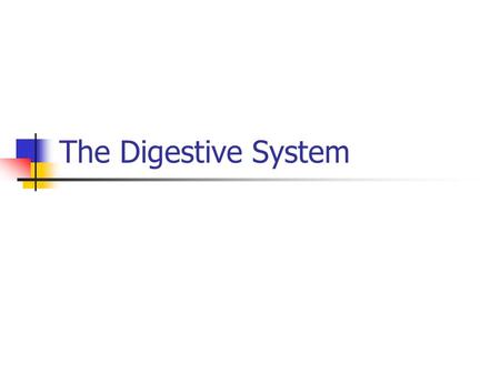 The Digestive System.