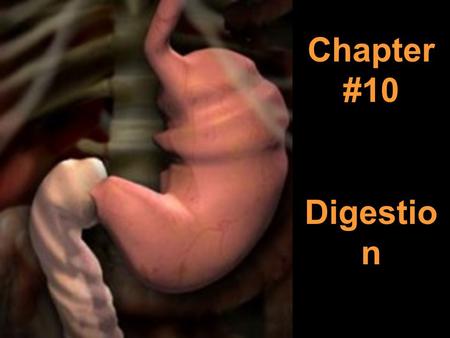 Chapter #10 Digestio n. Chapter 10.1 Notes The digestive system is a group of organs that take in food and change it into a form the body can use.