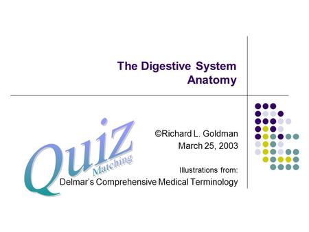 The Digestive System Anatomy