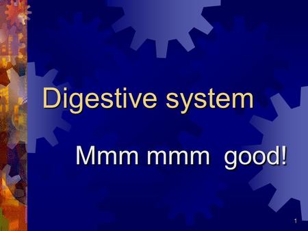 1 Digestive system Mmm mmm good!. 2 GI system  Gastrointestinal  ______ – stomach  Intestinal - intestine.