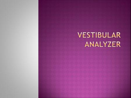 Vestibular analyzer.