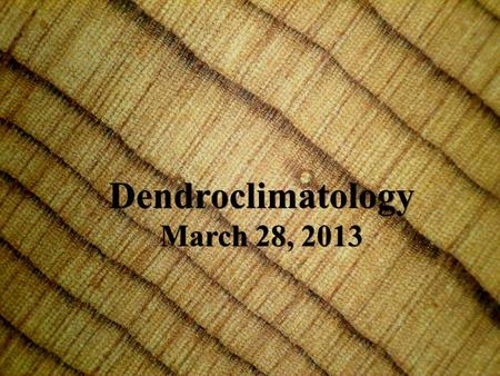 Dendroclimatology March 28, 2013 Dendroclimatology March 28, 2013.