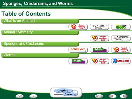 Table of Contents What Is an Animal? Animal Symmetry