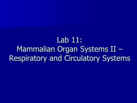 Lab 11: Mammalian Organ Systems II – Respiratory and Circulatory Systems.