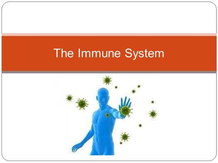 The Immune System.