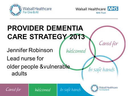 PROVIDER DEMENTIA CARE STRATEGY 2013