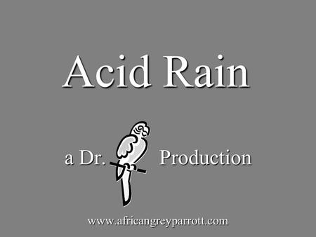 Acid Rain a Dr. Production www.africangreyparrott.com.