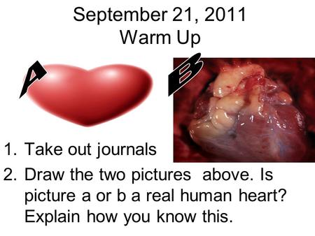 September 21, 2011 Warm Up Take out journals