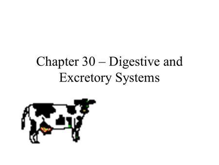 Chapter 30 – Digestive and Excretory Systems. Let’s hear from Tim and Moby  ystem/digestivesystem/