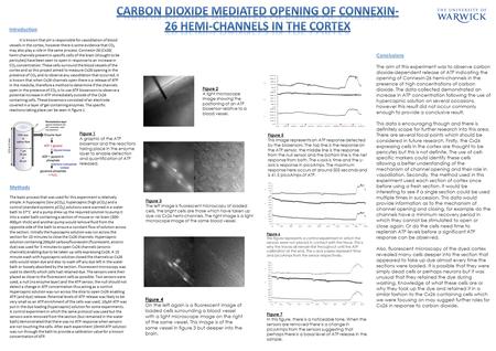 Introduction It is known that pH is responsible for vasodilation of blood vessels in the cortex, however there is some evidence that CO₂ may also play.