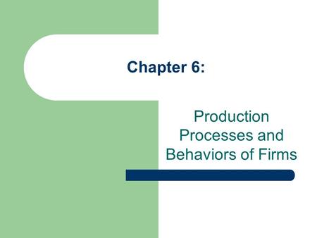 Chapter 6: Production Processes and Behaviors of Firms.