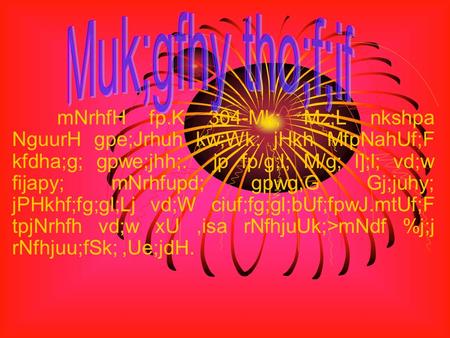 MNrhfH fp.K 304-Mk; Mz;L nkshpa NguurH gpe;Jrhuh kw;Wk; jHkh MfpNahUf;F kfdha;g; gpwe;jhh;. jp fp/g;l; M/g; l];l; vd;w fijapy; mNrhfupd; gpwg;G Gj;juhy;