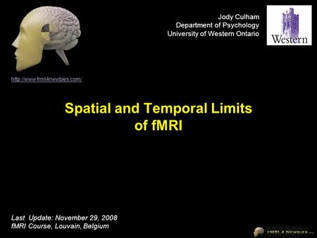 Spatial and Temporal Limits of fMRI