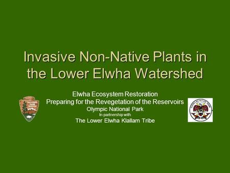 Invasive Non-Native Plants in the Lower Elwha Watershed Elwha Ecosystem Restoration Preparing for the Revegetation of the Reservoirs Olympic National Park.